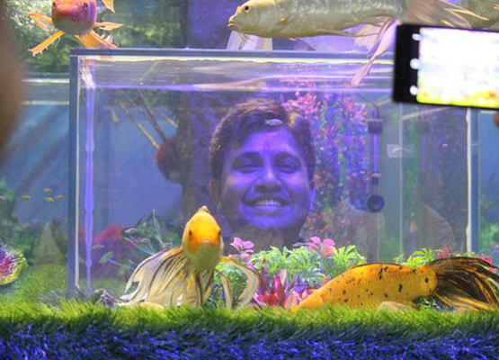 Aquarium Blog Image