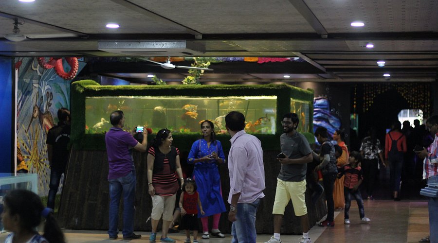 Description of image 10