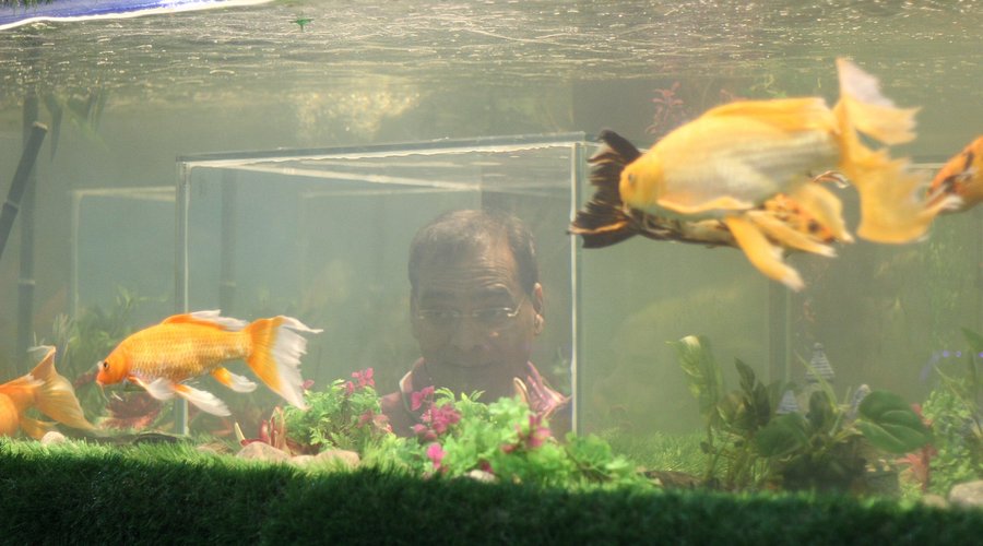 Description of image 11