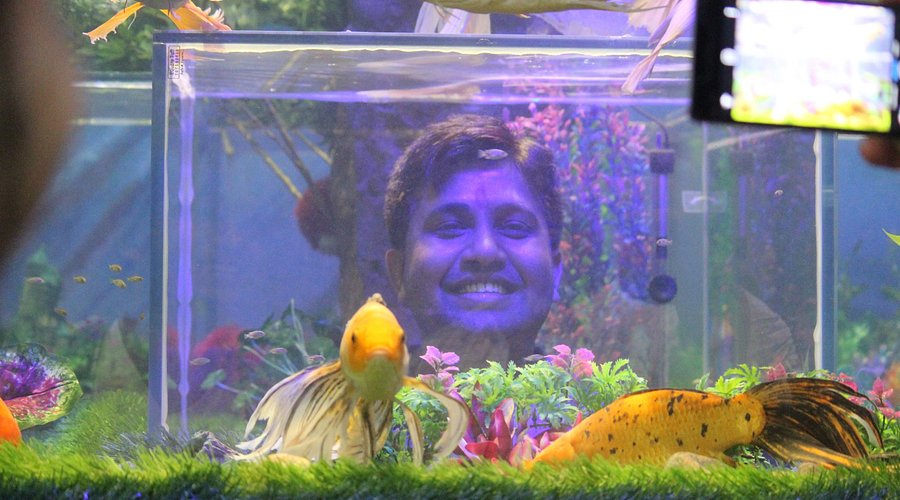 Description of image 13