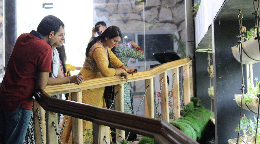 Description of image 16