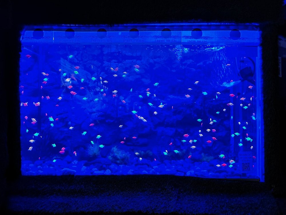 Description of image 2