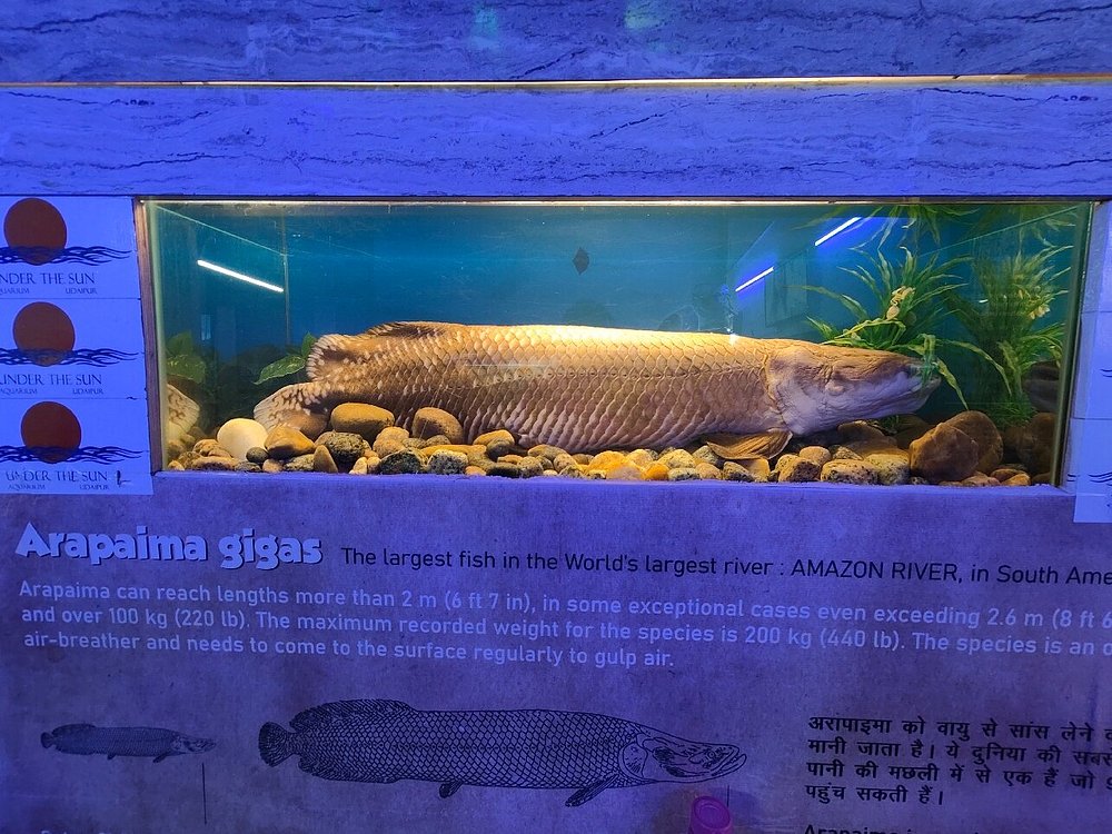 Description of image 8